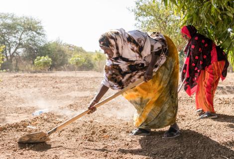 Maryan Muhumed Hudhun, age 48, Ceel-Giniseed Community, Somaliland 